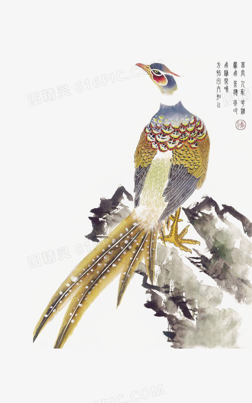 鸟