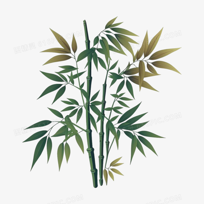 插画绿色竹子竹叶元素