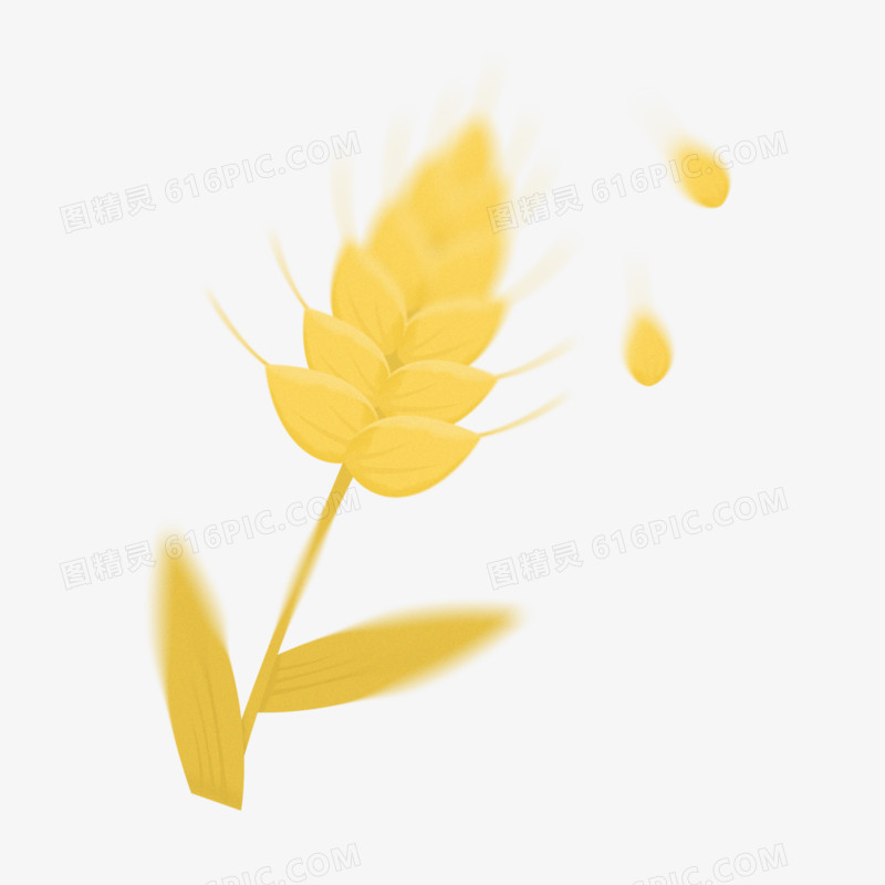 手绘弥散风秋季黄色麦子素材