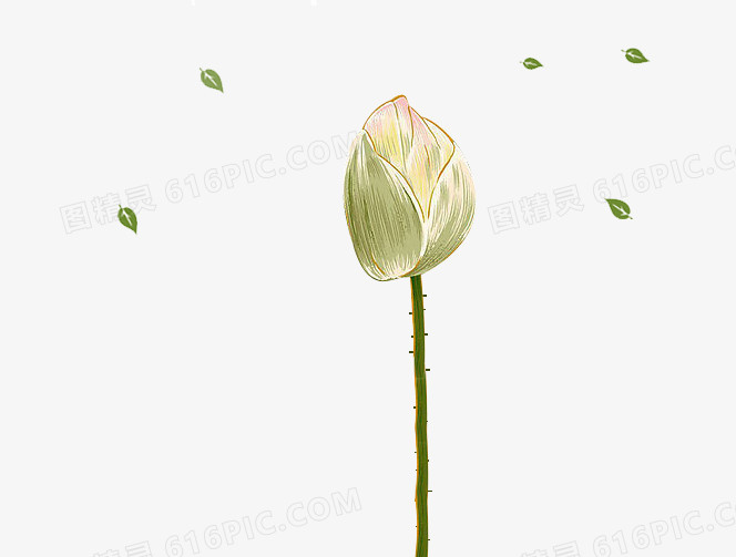 荷花元素