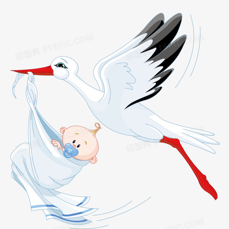 叼小孩的鸟