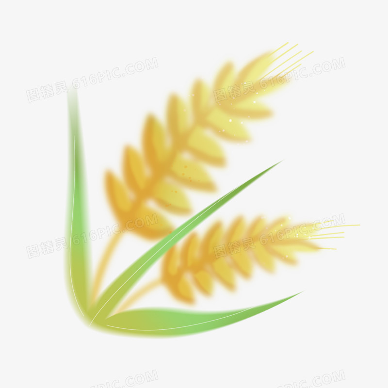 弥散风种植麦免抠元素