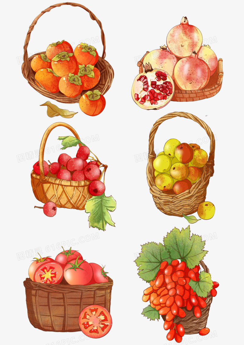 一组手绘写实插画秋季水果元素