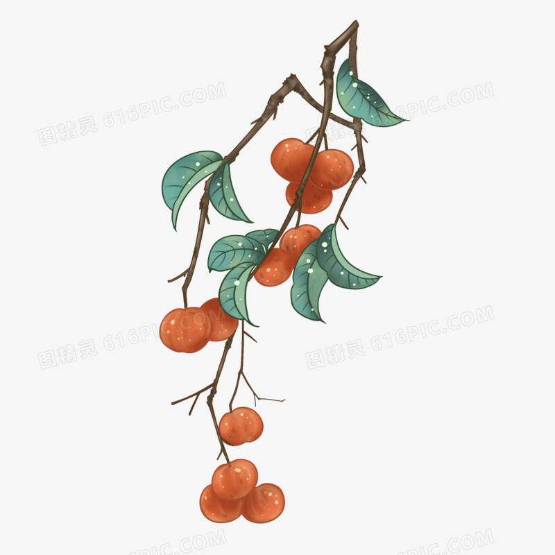 手绘带树枝水果柿子素材