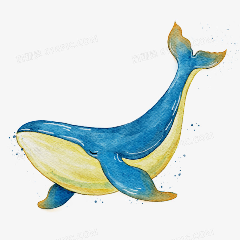 鲸鱼手绘透明元素水彩鲸鱼素材