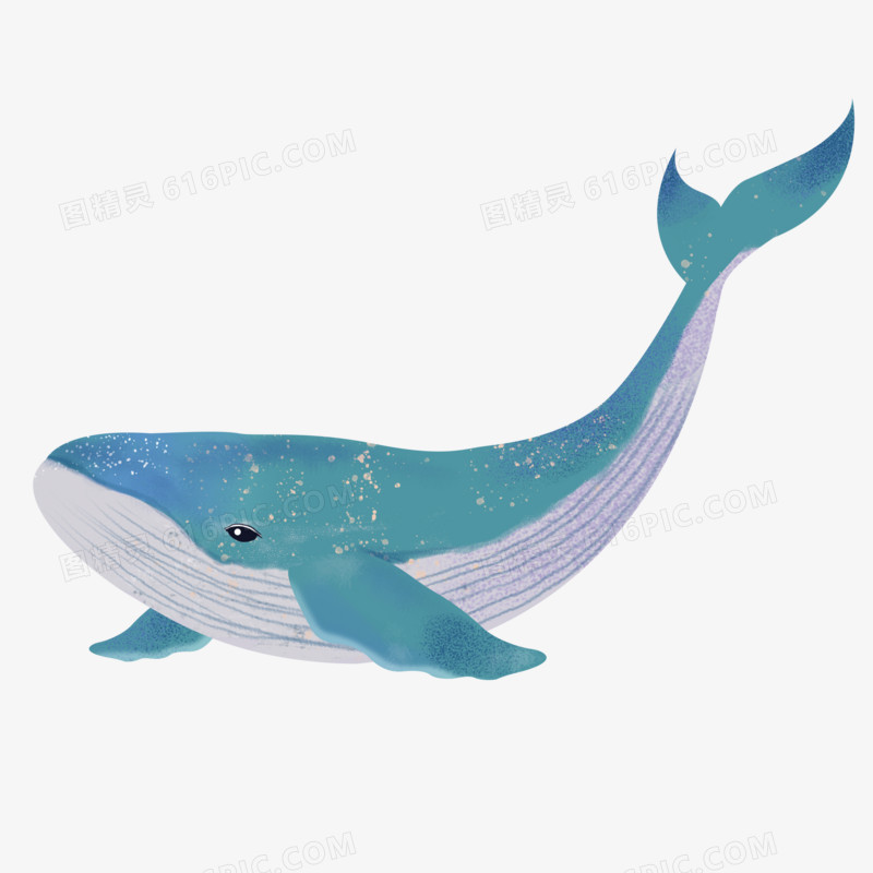 唯美鲸鱼插画素材