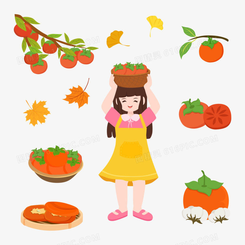 一组矢量霜降摘柿子女孩合集元素