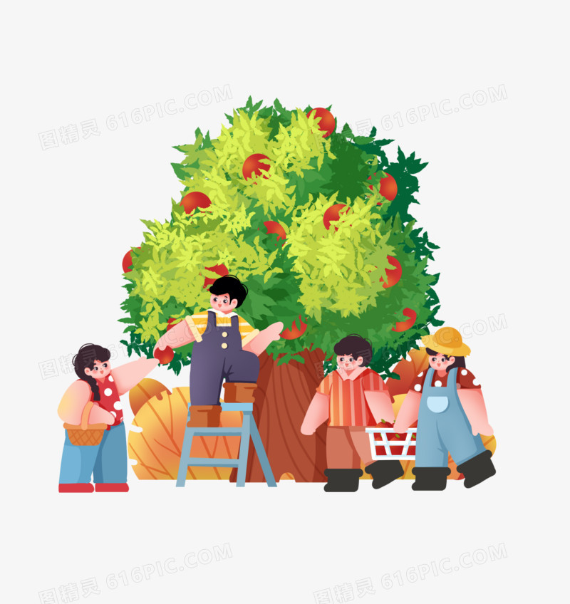 秋天农忙丰收人们摘苹果素材