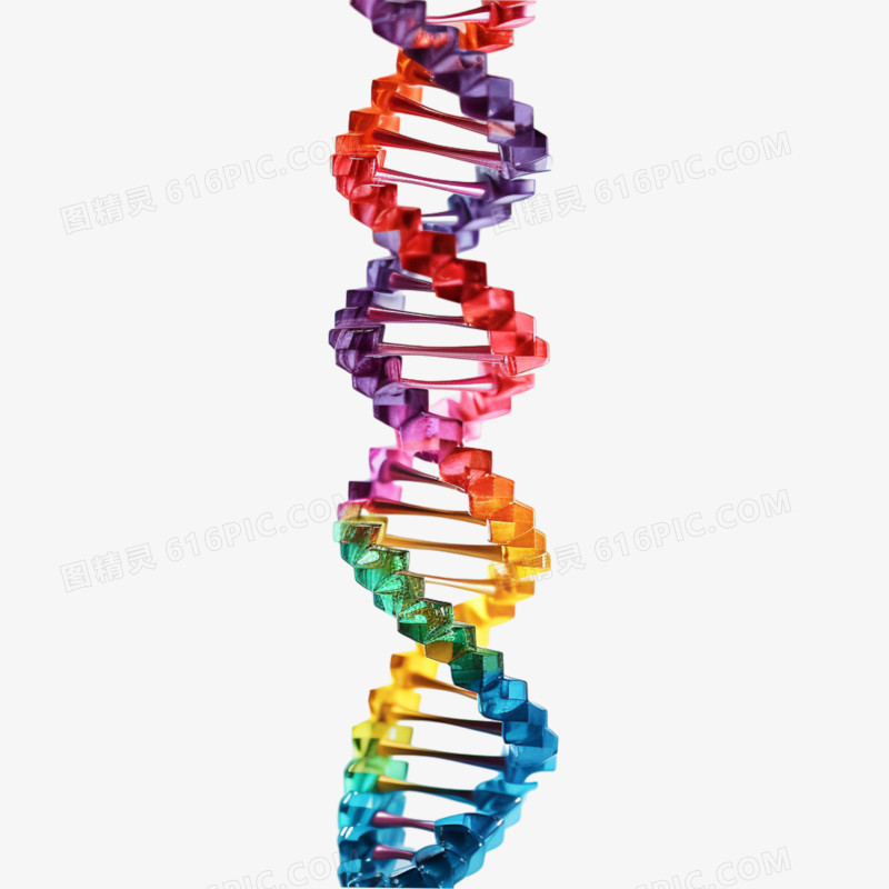 3D立体双螺旋DNA序列免抠元素