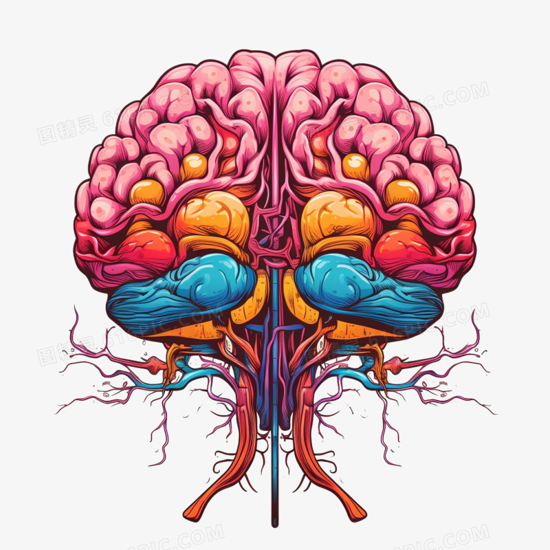 插画风人类大脑免抠元素