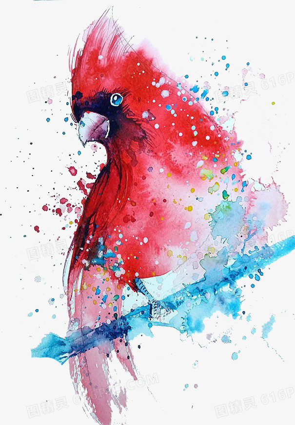 红色的鸟