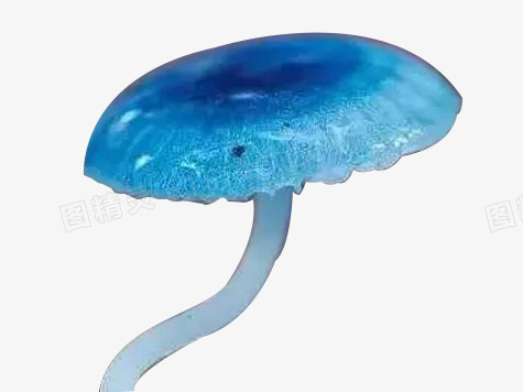 蓝瘦香菇