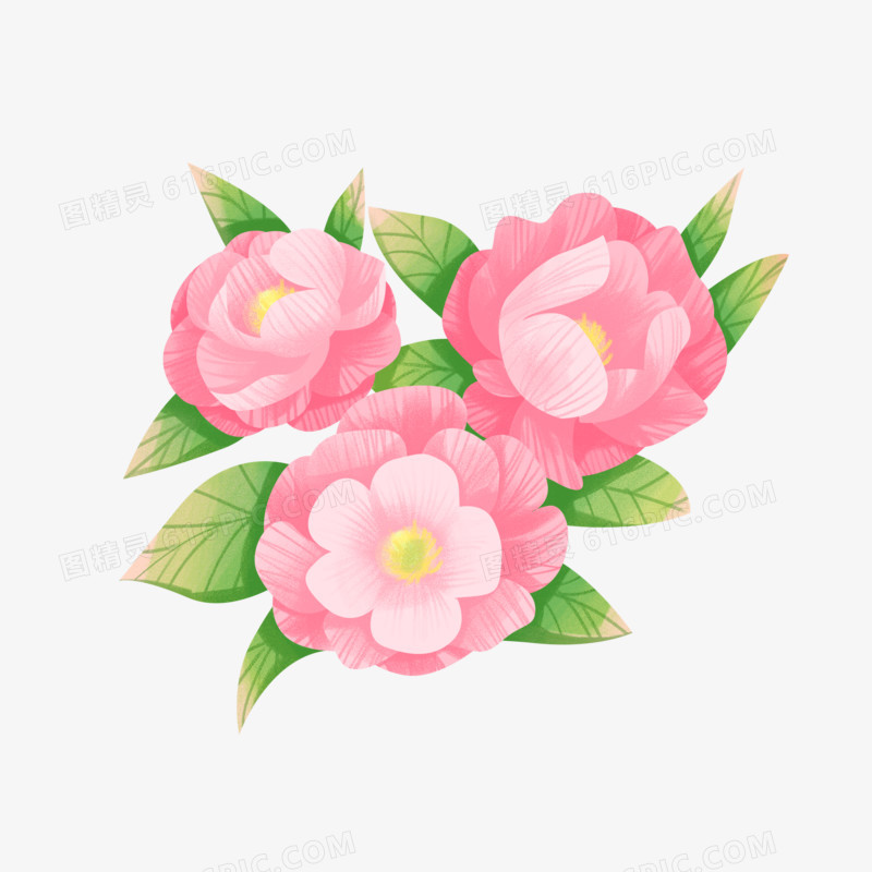 手绘插画风粉色蔷薇花素材