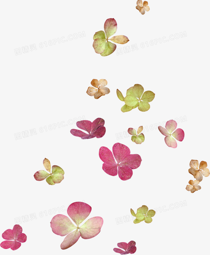 漂浮的粉色花朵