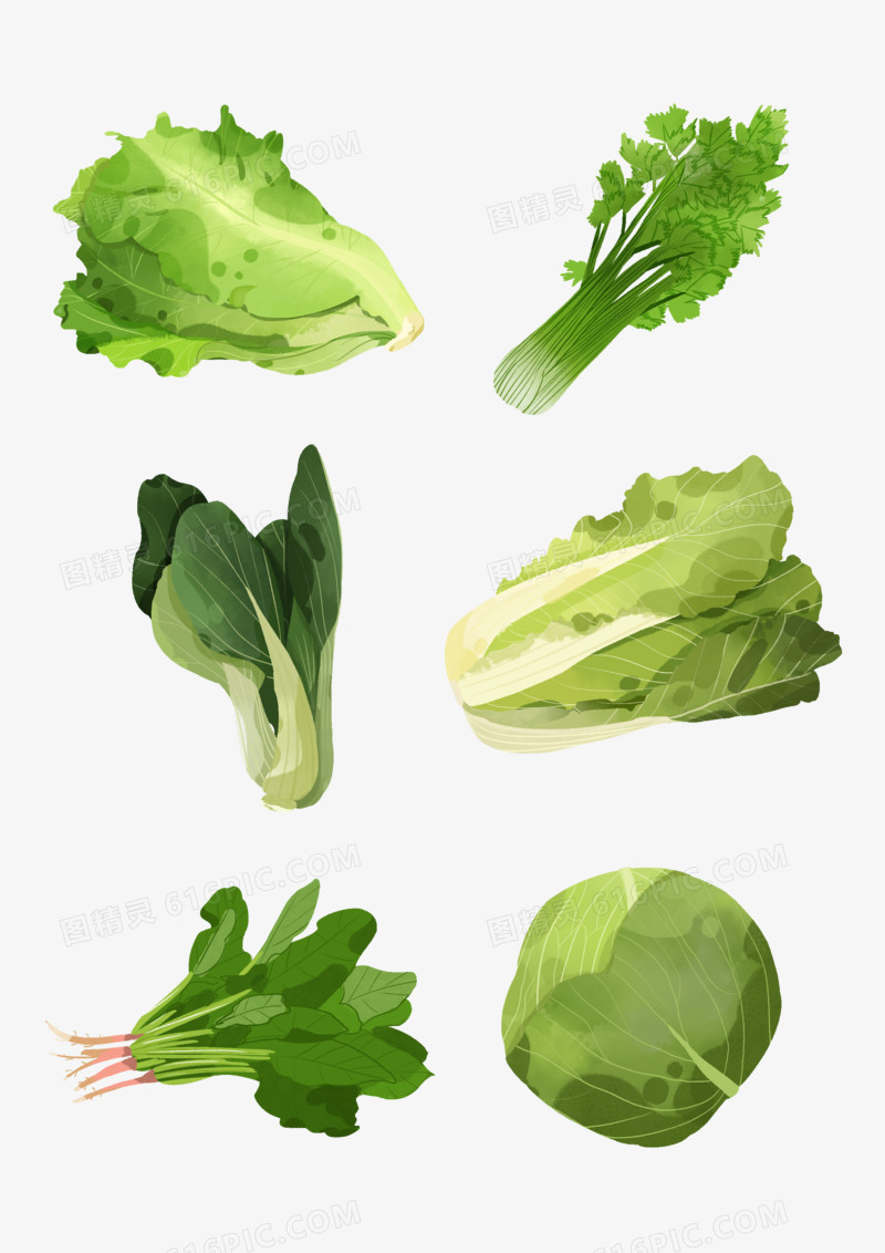 一组绿色蔬菜绿叶菜合集素材