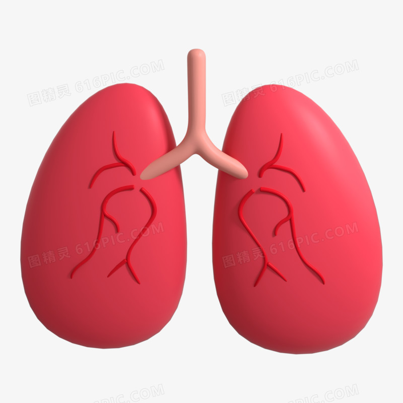 C4D人体器官肺3D元素