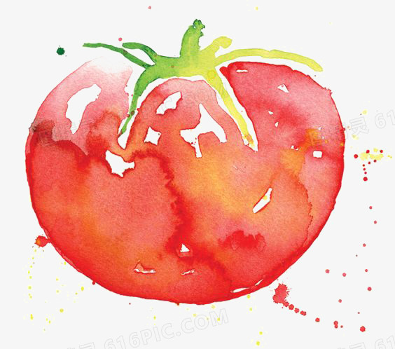水彩西红柿