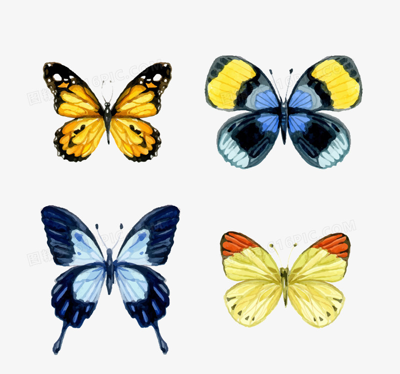 4款水彩蝴蝶设计矢量