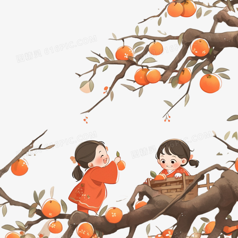 国风冬季在柿子树下玩耍的小朋友插画