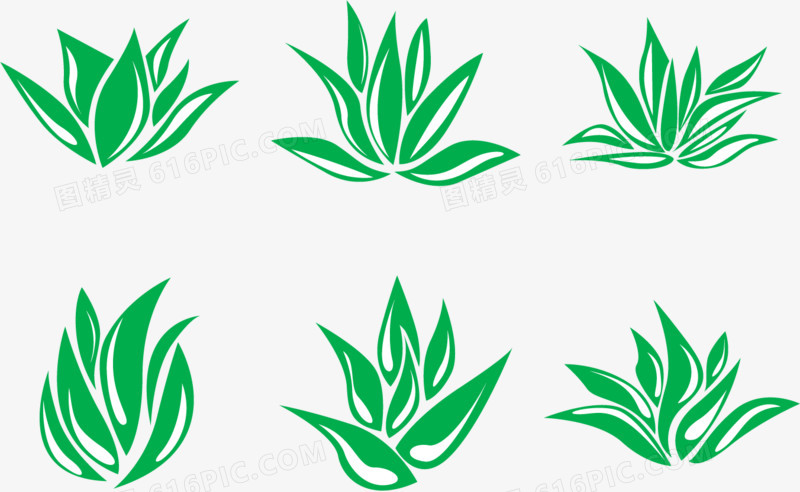 矢量芦荟