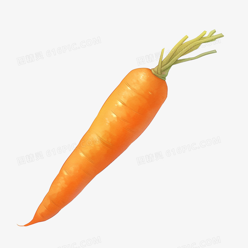 胡萝卜摘采免抠元素