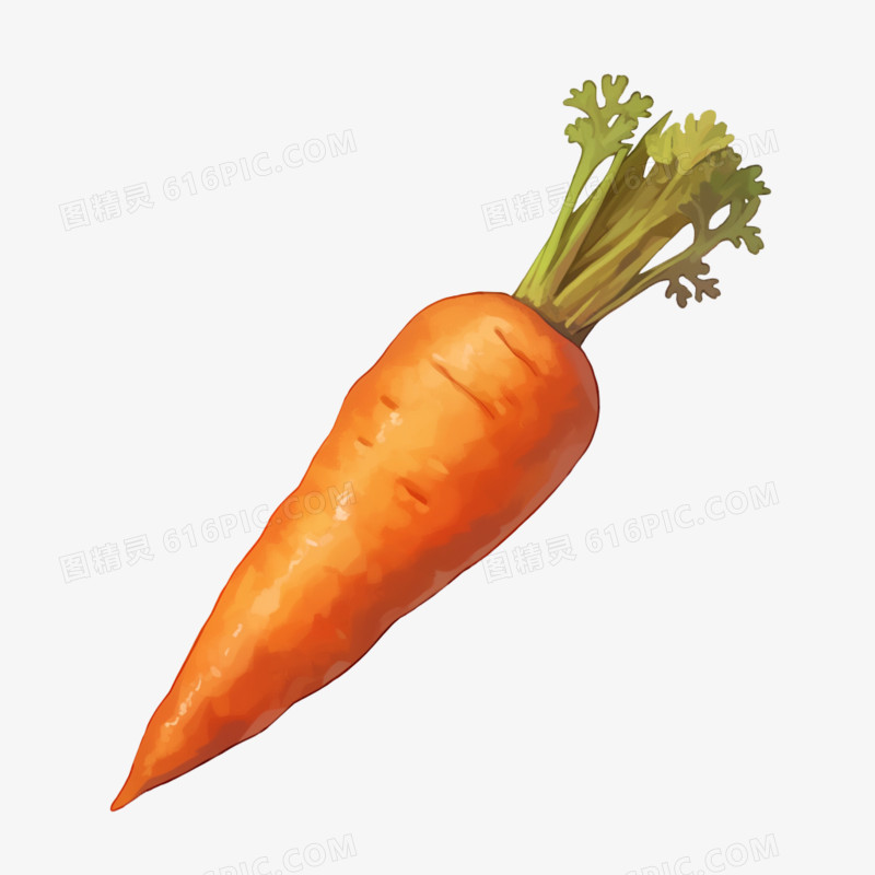 胡萝卜摘采种植免抠元素