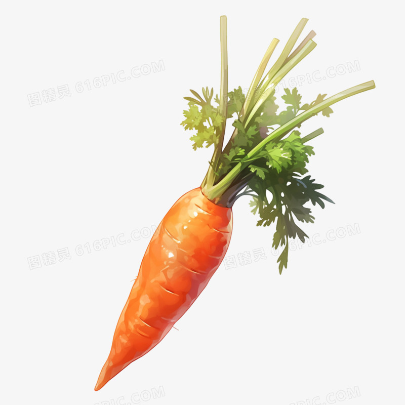 胡萝卜市场免抠元素
