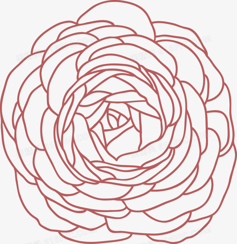 矢量玫瑰花创意线条图
