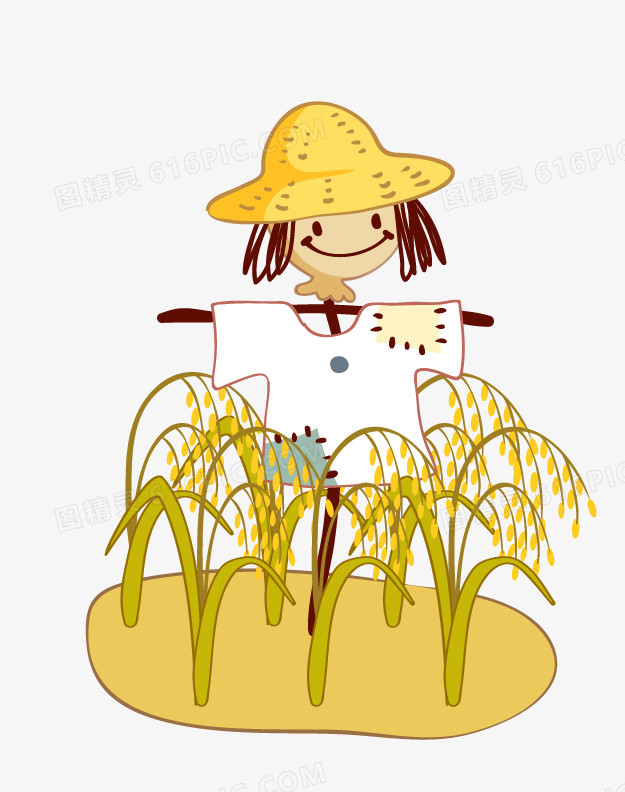 稻谷地里的稻草人