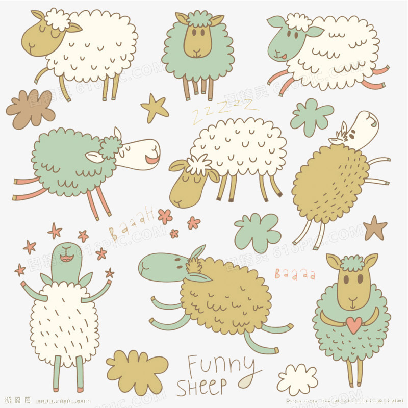 各种的羊