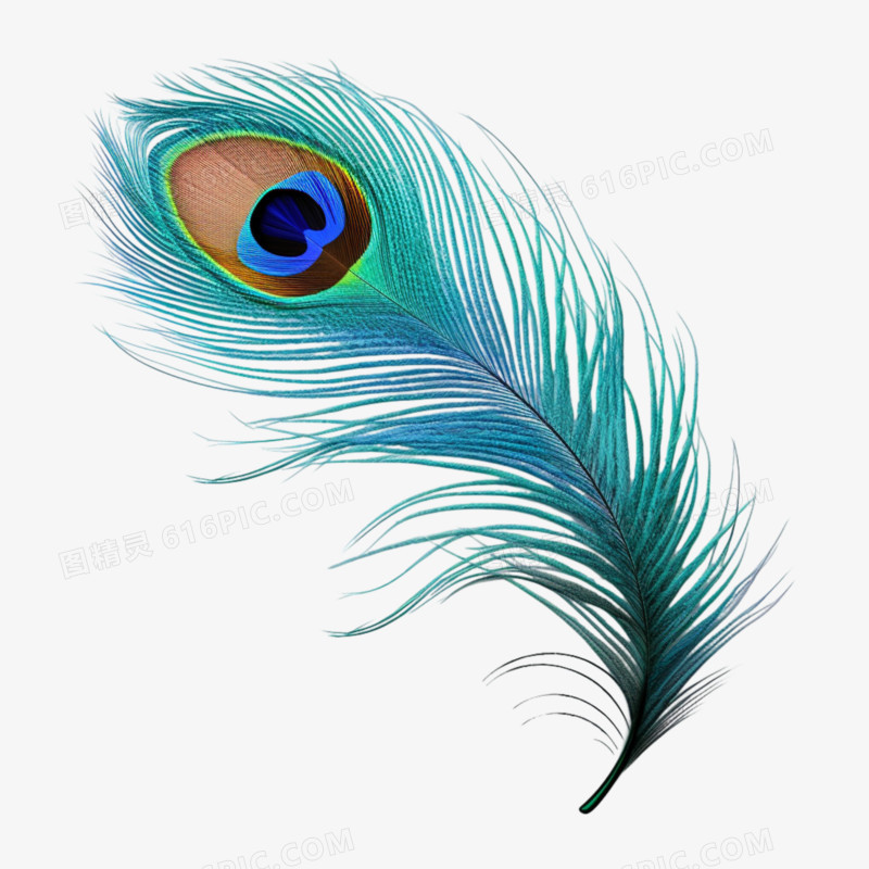 孔雀的羽毛免抠元素