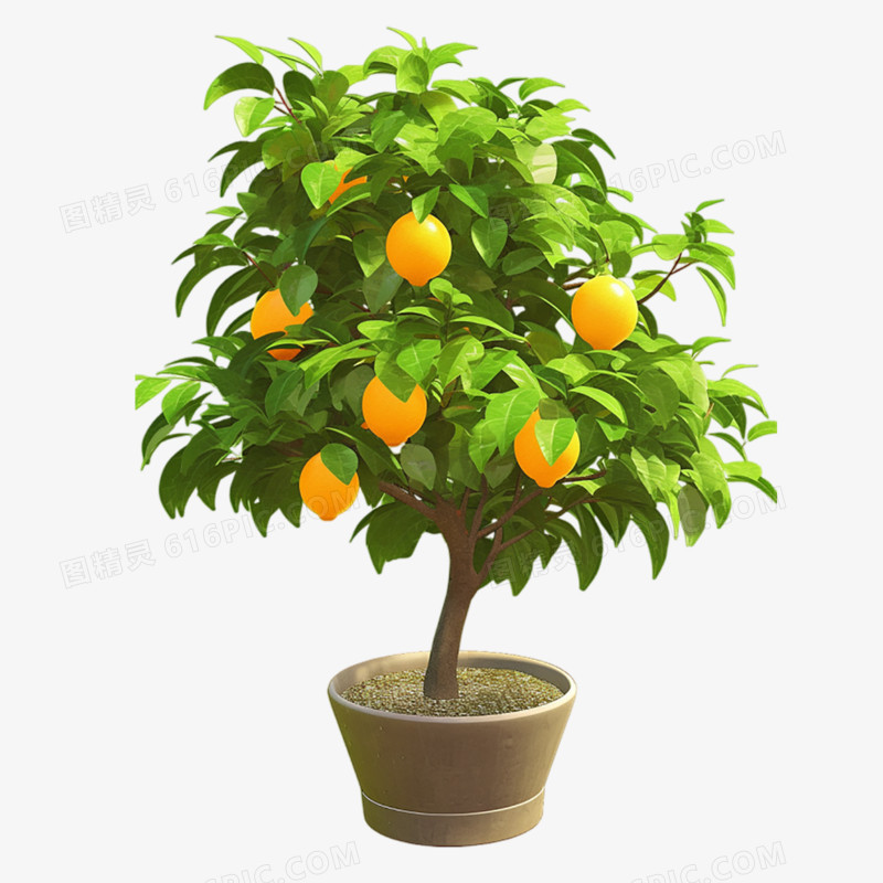 3d立体橘子水果盆栽免抠元素