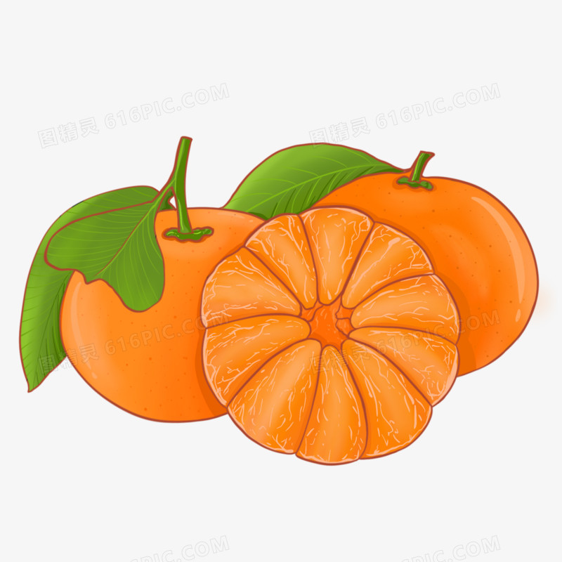 手绘砂糖橘小橘子元素