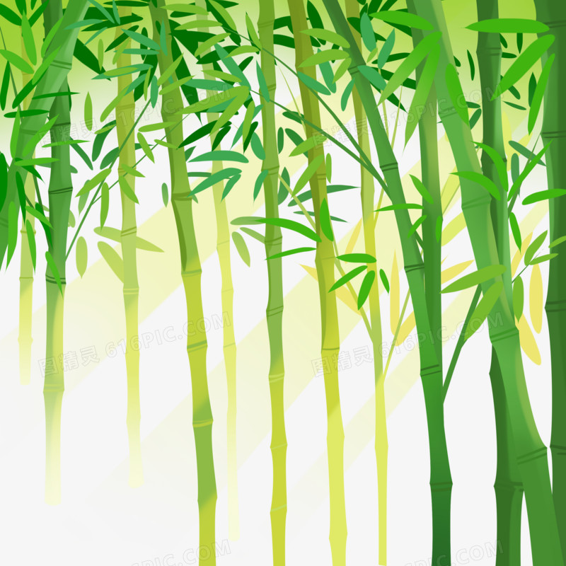 手绘插画绿色竹林元素