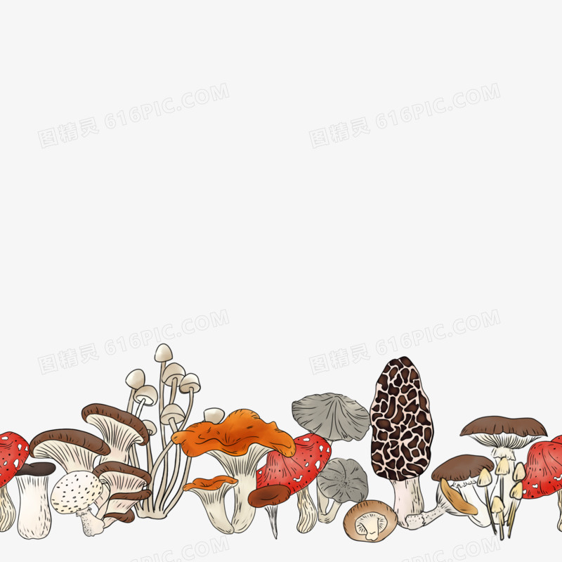 手绘排排菌菇元素