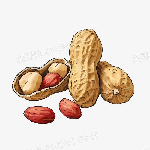 插画点心坚果花生