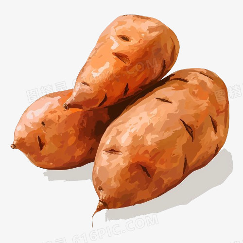 插画香甜红薯地瓜