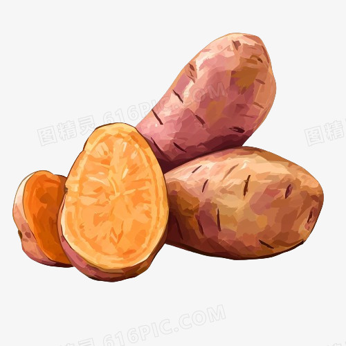 插画香甜红薯地瓜