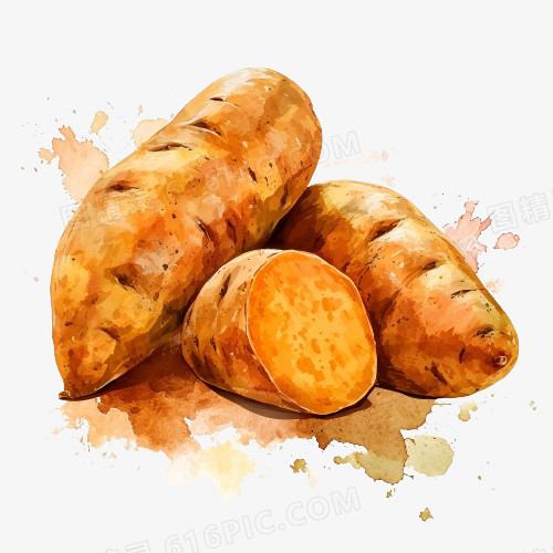 插画香甜红薯地瓜