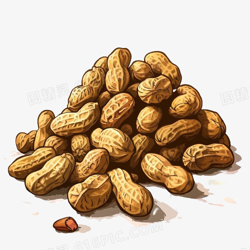 插画点心坚果花生