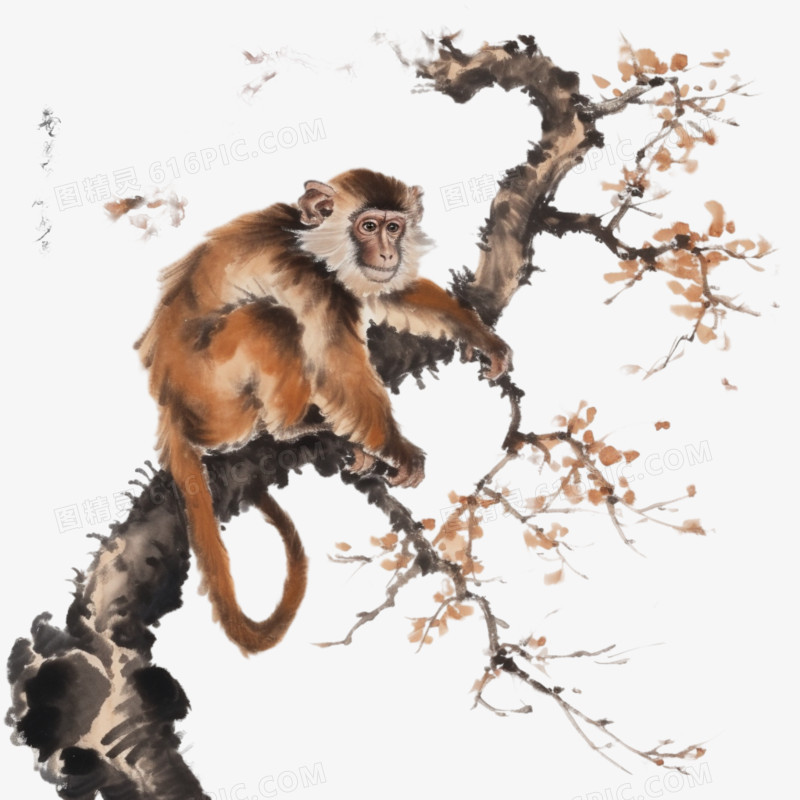 中国画猴子在枝头免抠