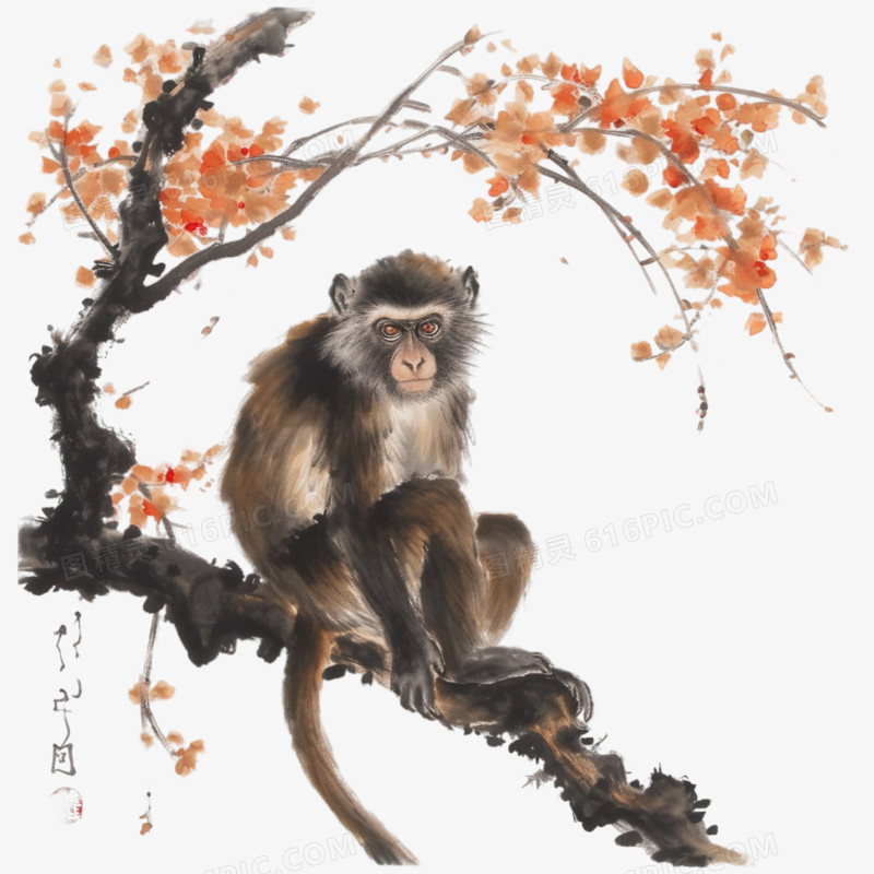 中国画猴子在枝头免抠