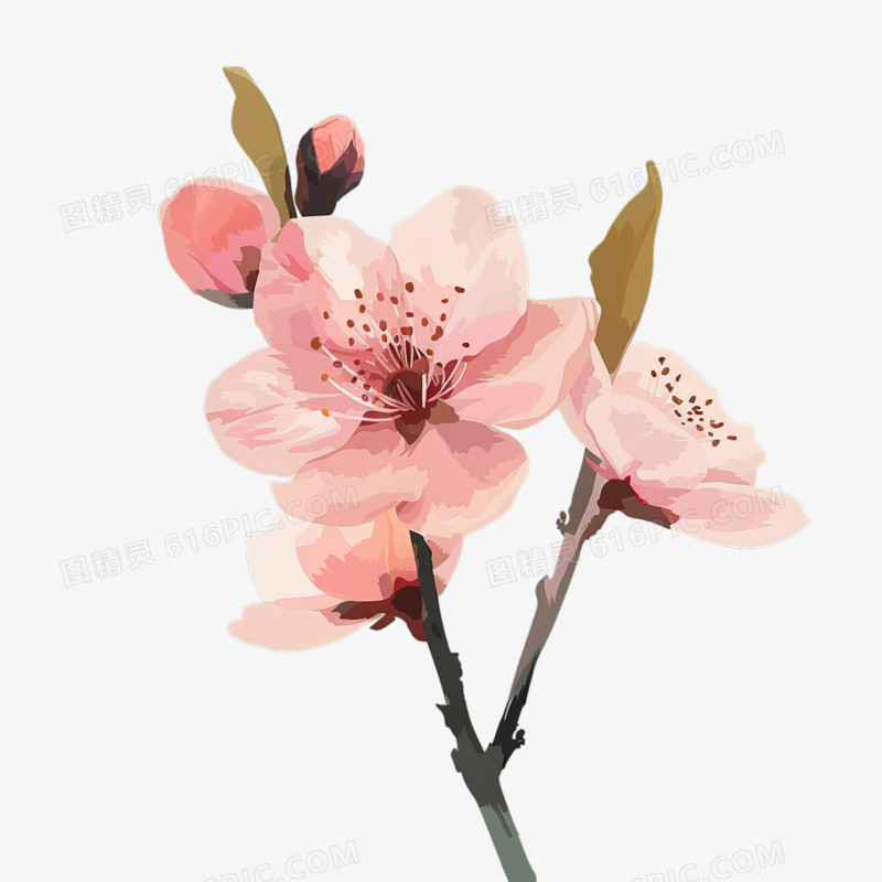 春天唯美粉色桃花手绘特写免抠元素