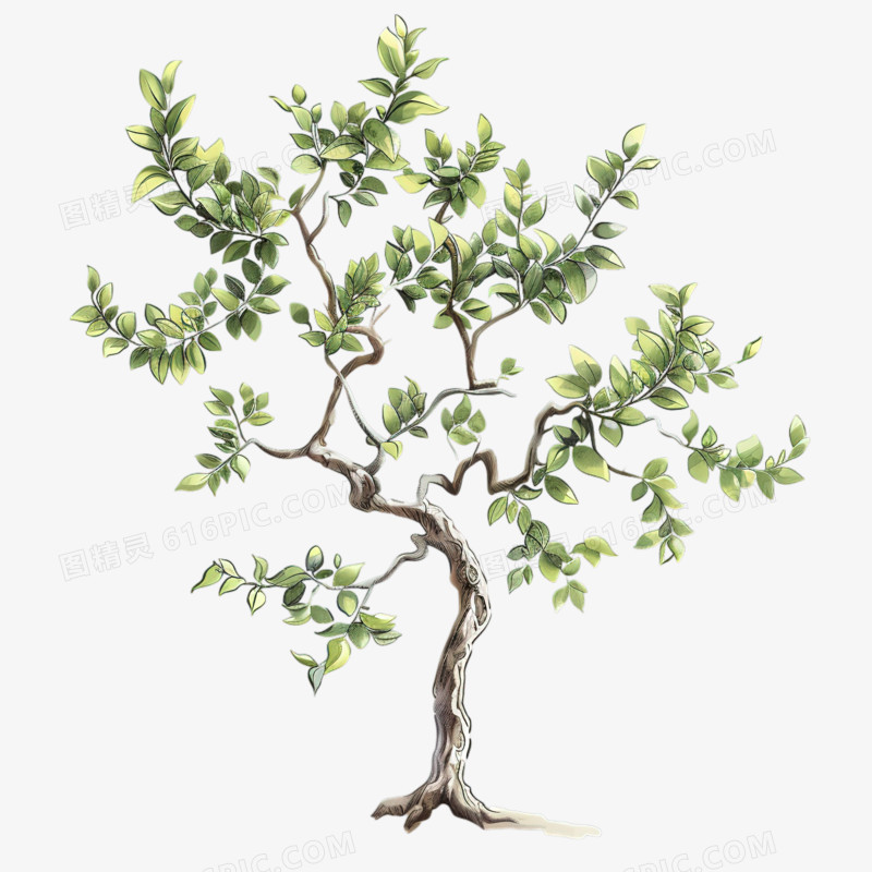 一颗枝丫茂盛的绿色的树木卡通元素