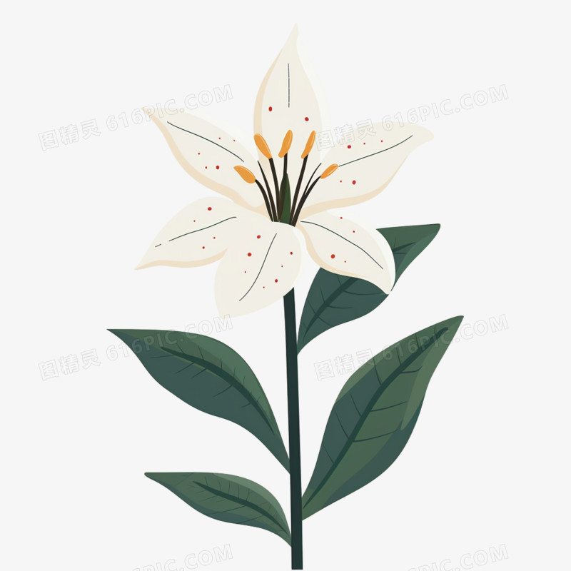 单个花朵免抠元素