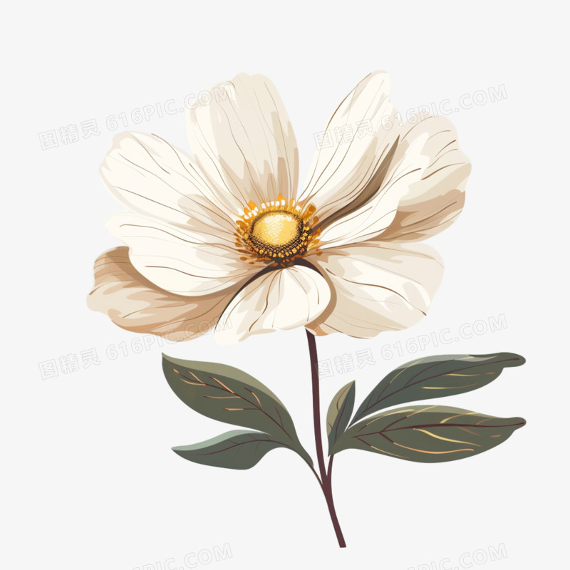 单个花朵免抠元素