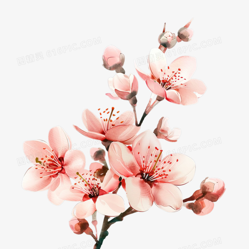 春天唯美粉色桃花手绘特写免抠元素