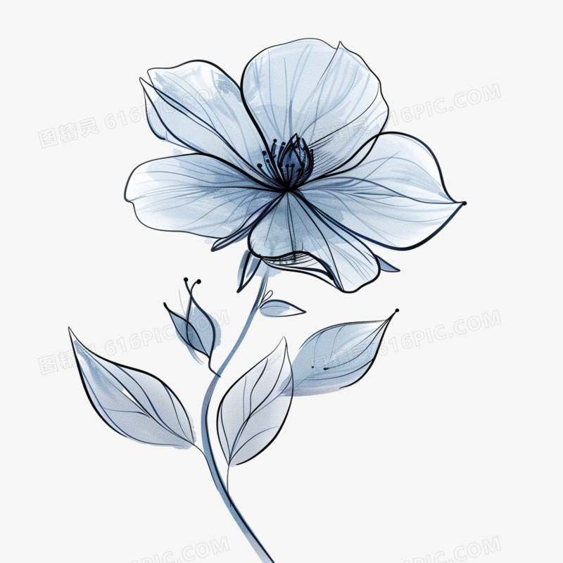 单个花朵免抠元素