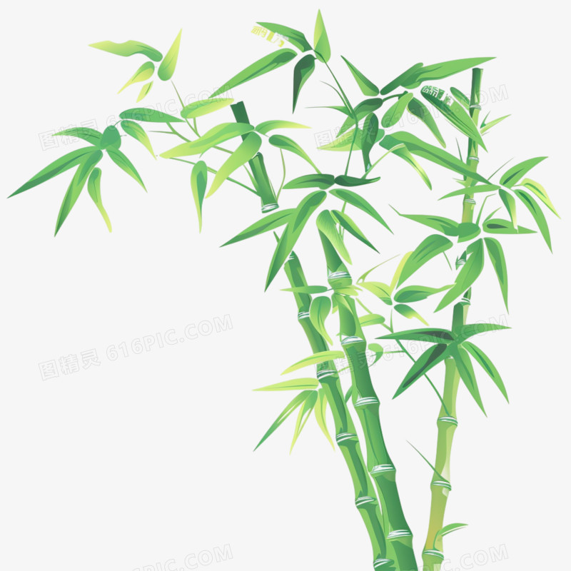 竹林竹叶免抠元素