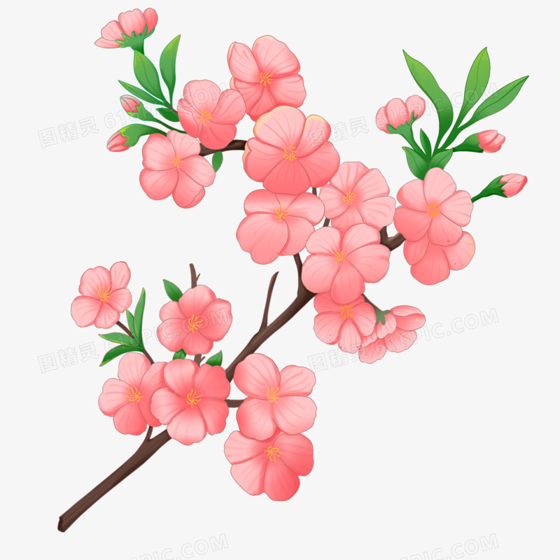 卡通手绘漂亮桃花树枝免抠元素